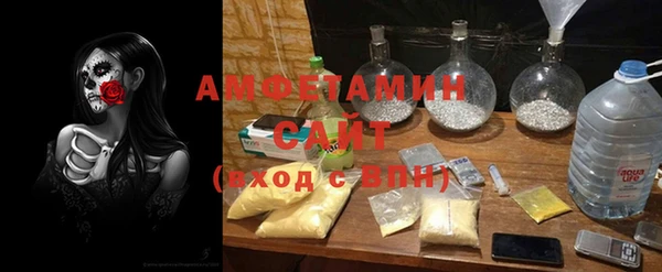 прущие грибы Кострома