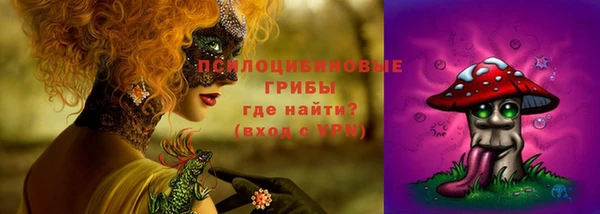 прущие грибы Кострома