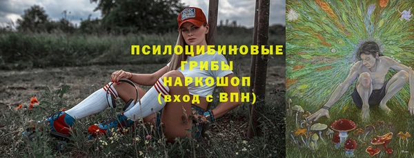 не бодяженный Гусев