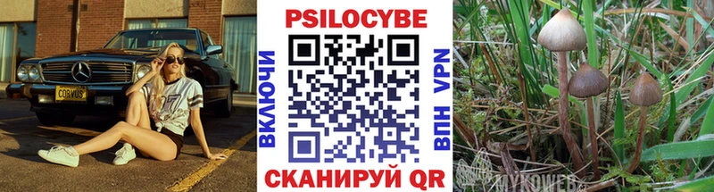 магазин    МЕГА ссылка  Псилоцибиновые грибы ЛСД  Боровск 